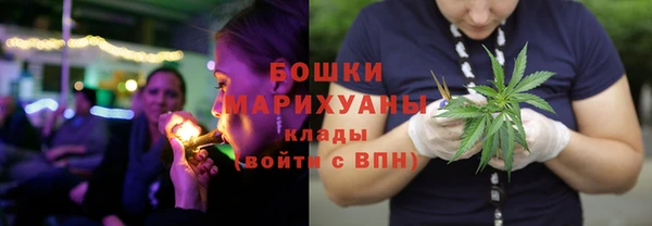 твердый Надым